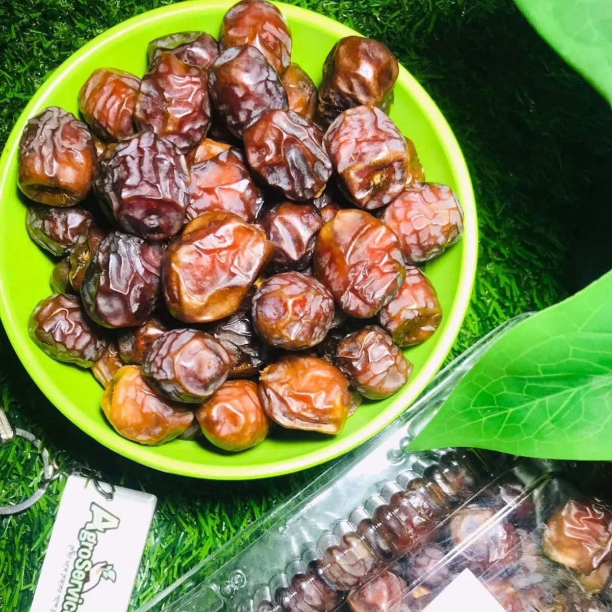 rzlummfc3zggr3j4b9rp